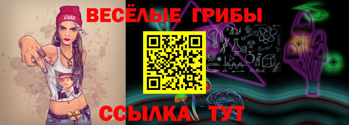 Дятьково  Псилоцибиновые грибы прущие грибы  Вход с VPN 