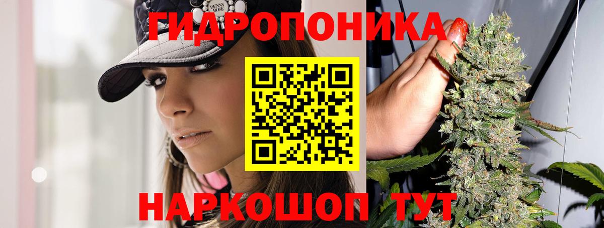 Каннабис планчик  Вход с VPN  Марихуана THC 21%  Дятьково 